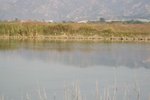 IMG_3455