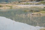 IMG_3456
