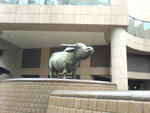 DSC00795