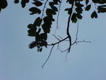 DSC00916