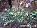 PolyU (12)