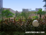 PolyU (9)