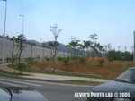 Road (10)