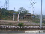 Road (11)