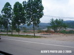 Road (7)