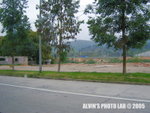 Road (8)