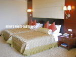 Hotel (20)