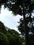 DSC00876