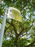 DSC00877