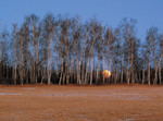 11031984_00400_RT16
