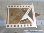 Star (11)