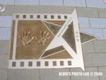 Star (12)