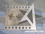 Star (14)