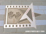 Star (15)