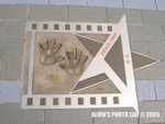 Star (18)