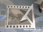 Star (19)
