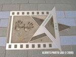 Star (21)