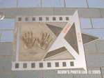 Star (22)