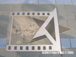 Star (23)