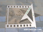 Star (24)