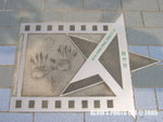 Star (26)