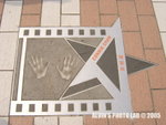 Star (27)