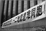 IMG_4495