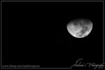 moon copy