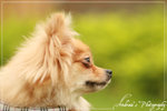 IMG_8570copy
