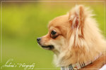 IMG_8571copy