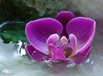 DSC08607a