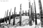 DSC02690b