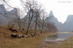 DSC02648b