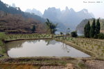 DSC02682b