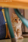 DSC_2884-a