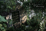 20071020_11