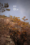 20071027_15