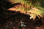 20071027_3