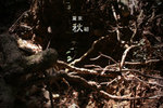 20071027_4