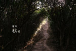 20071027_6