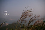 20071027_8