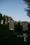 20071104_6