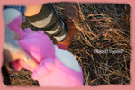 20070106_3