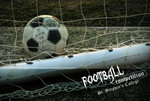 20080302_06