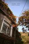 20070106_16