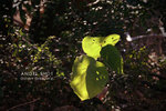 20070106_8