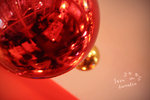 20071213_9