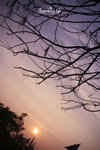 20080319_5