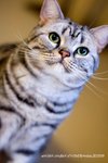 IMG_0661 copy