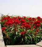 IMG_5342